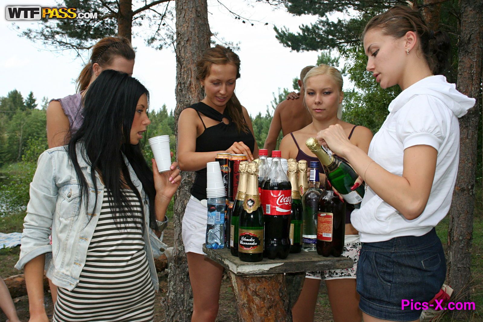 Picnic fuck party movie, part 4 - College Fuck Parties - Image 1