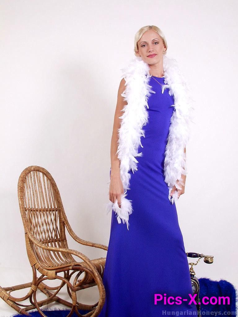 Lily Little Blue Dress Strip - Image 1